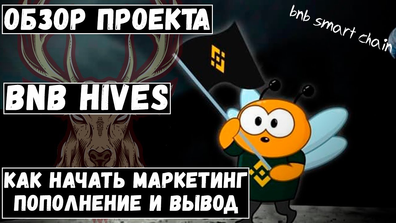 Bnbhives - обзор нового проекта на блокчейне BNB.