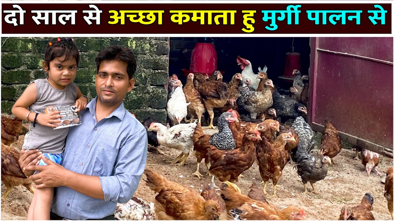 मुर्गी पालन से अच्छा कमाता युवा Desi Poultry Farm | Desi Murgi Farm |Desi Poultry Farm Business Plan