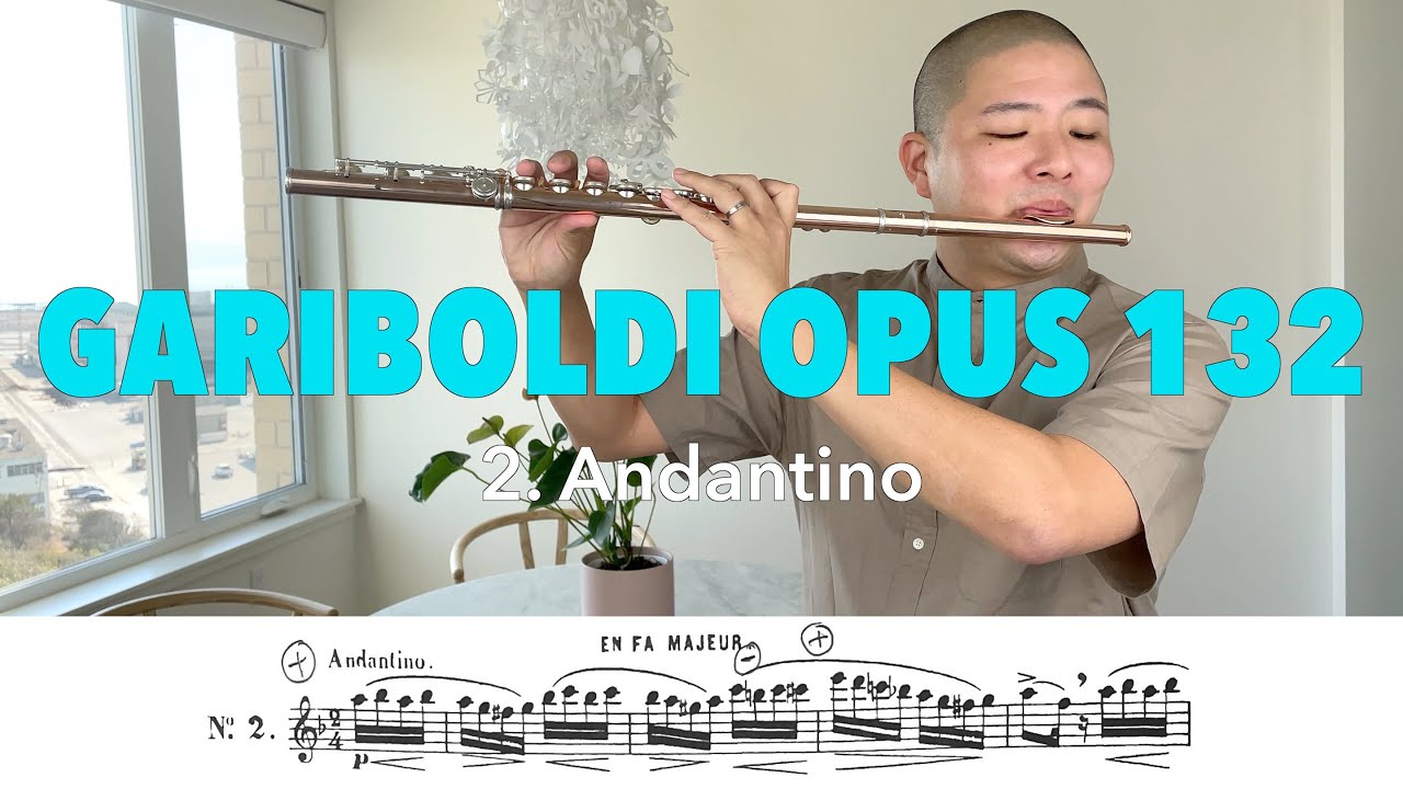 Gariboldi Flute Etude Opus 132, No. 2 Andantino [Melodious & Progressive Studies Pg. 2]