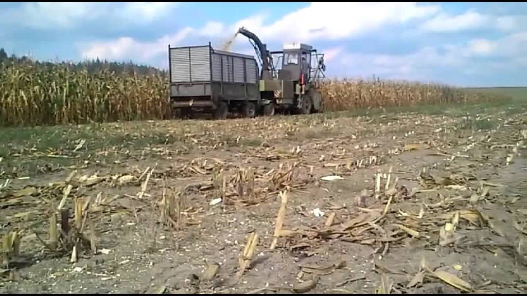 KUKURYDZA 2015 # FORTSCHRITT I BELARUS I URSUS I MTZ