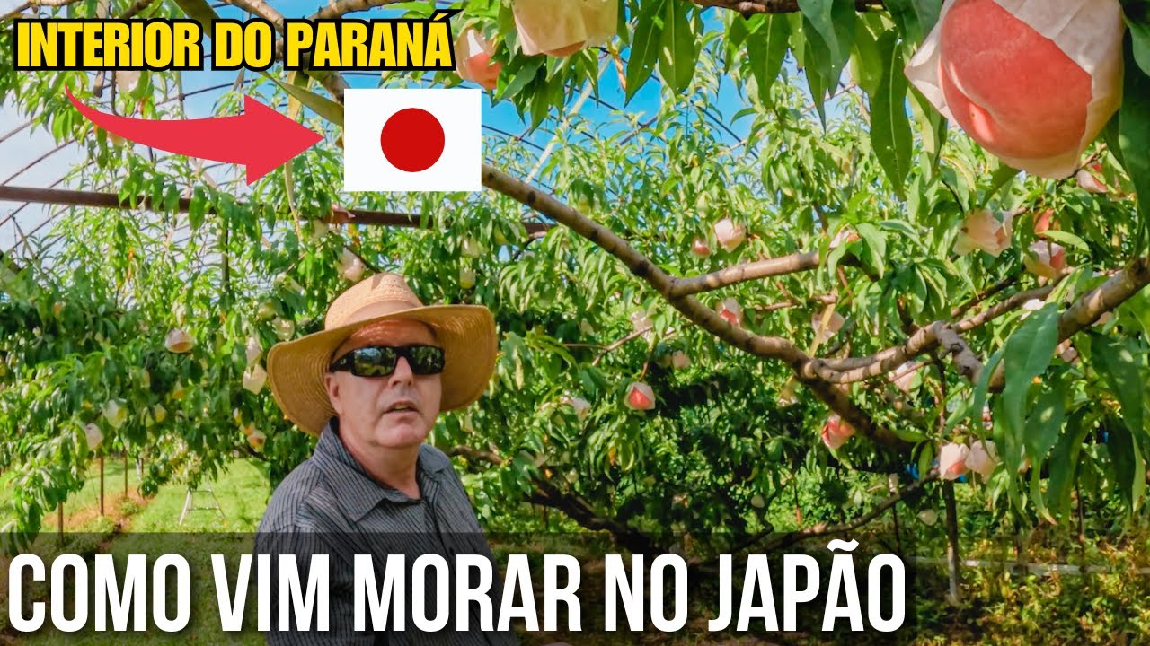 COMO EU SAI DO INTERIOR DO PARANÁ E VIM PARAR NO JAPÃO