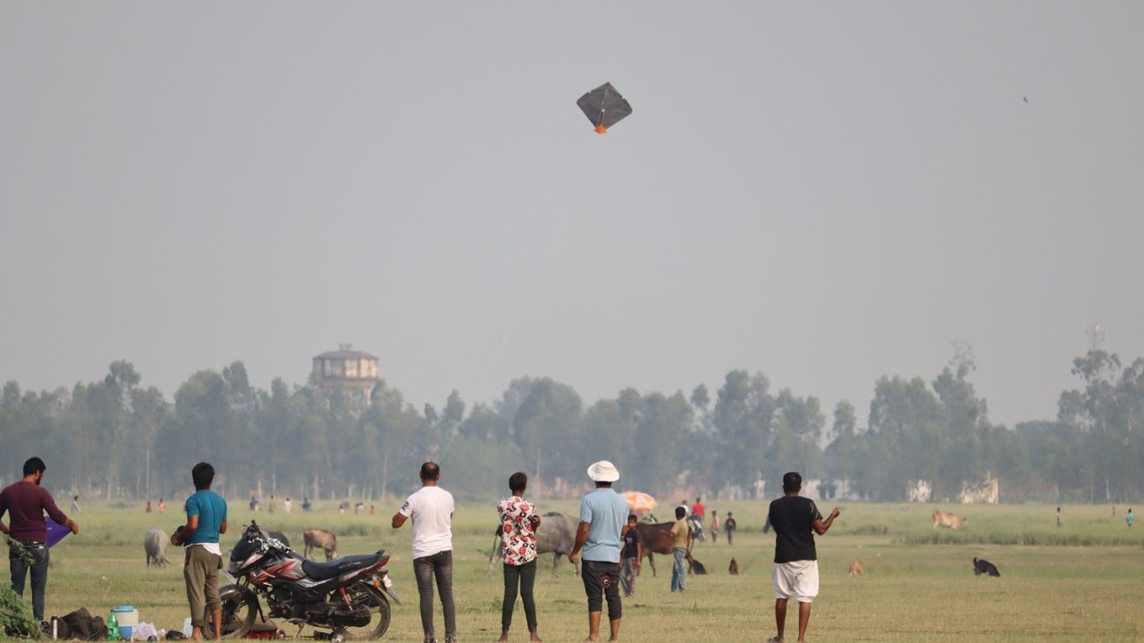 MK BAREILLY vs INTERNATIONAL LUCKNOW | Kite fighting | Kite cutting