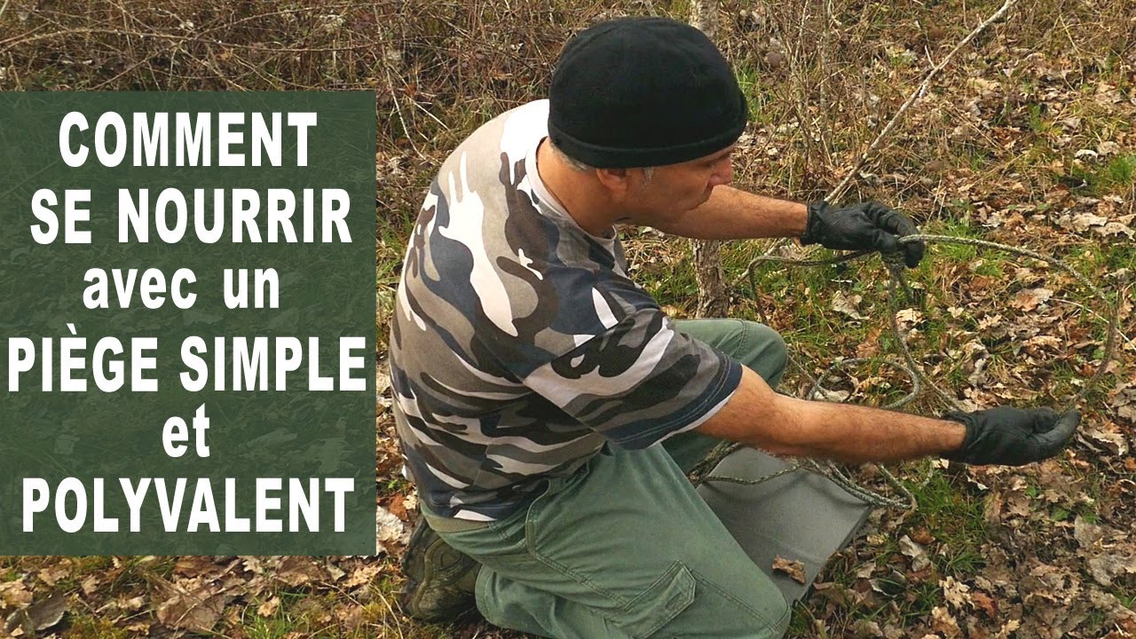 Piégeage et déplacements furtifs. Comment éviter les chiens...