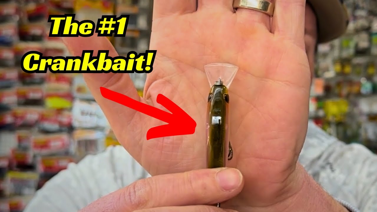 The #1 Crankbait Right Now! Everyone Should Have These!