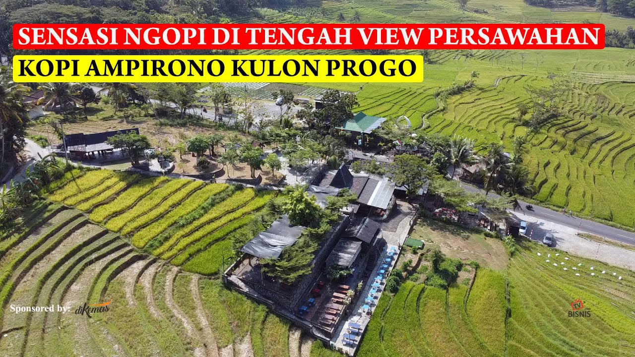 SENSASI NGOPI DI TENGAH VIEW PERSAWAHAN, KOPI AMPIRONO KULON PROGO