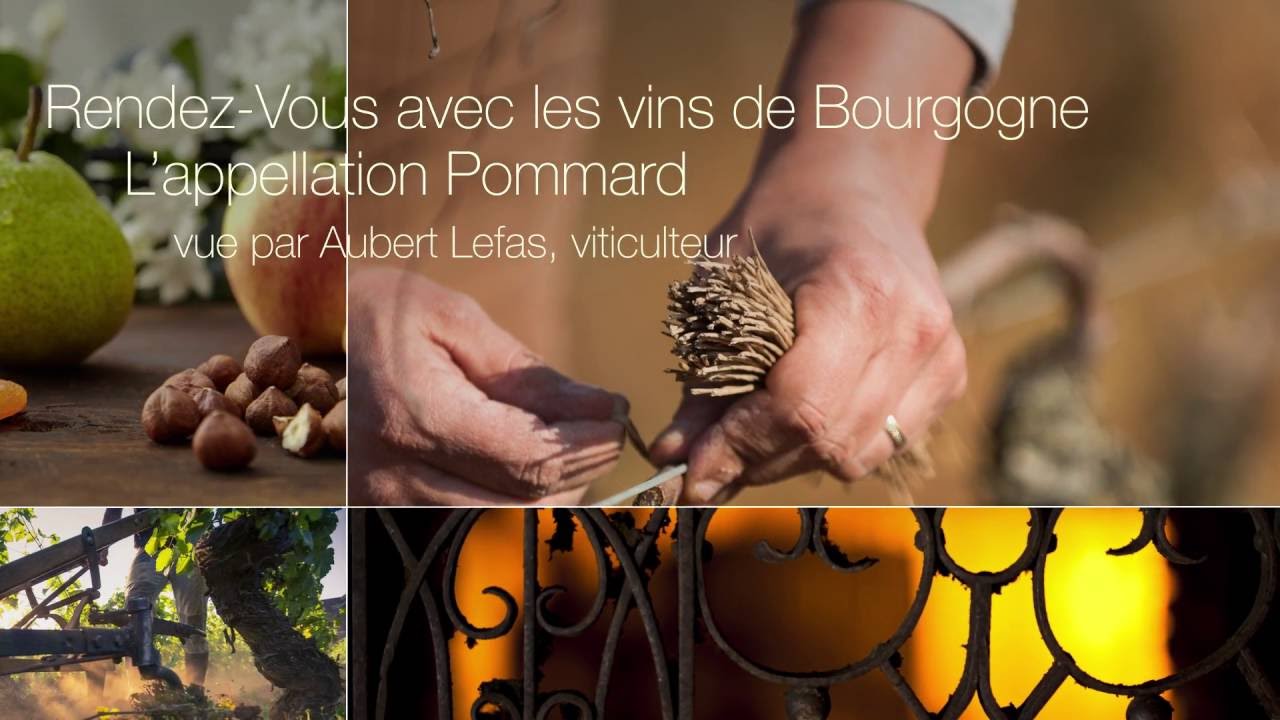 Pommard : l’appellation vue par Aubert Lefas