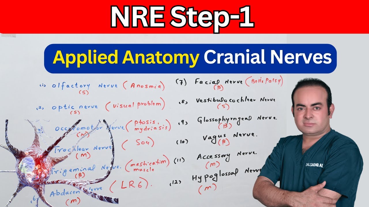 NRE Exam| Applied Anatomy | Cranial Nerves | USMLE Exam