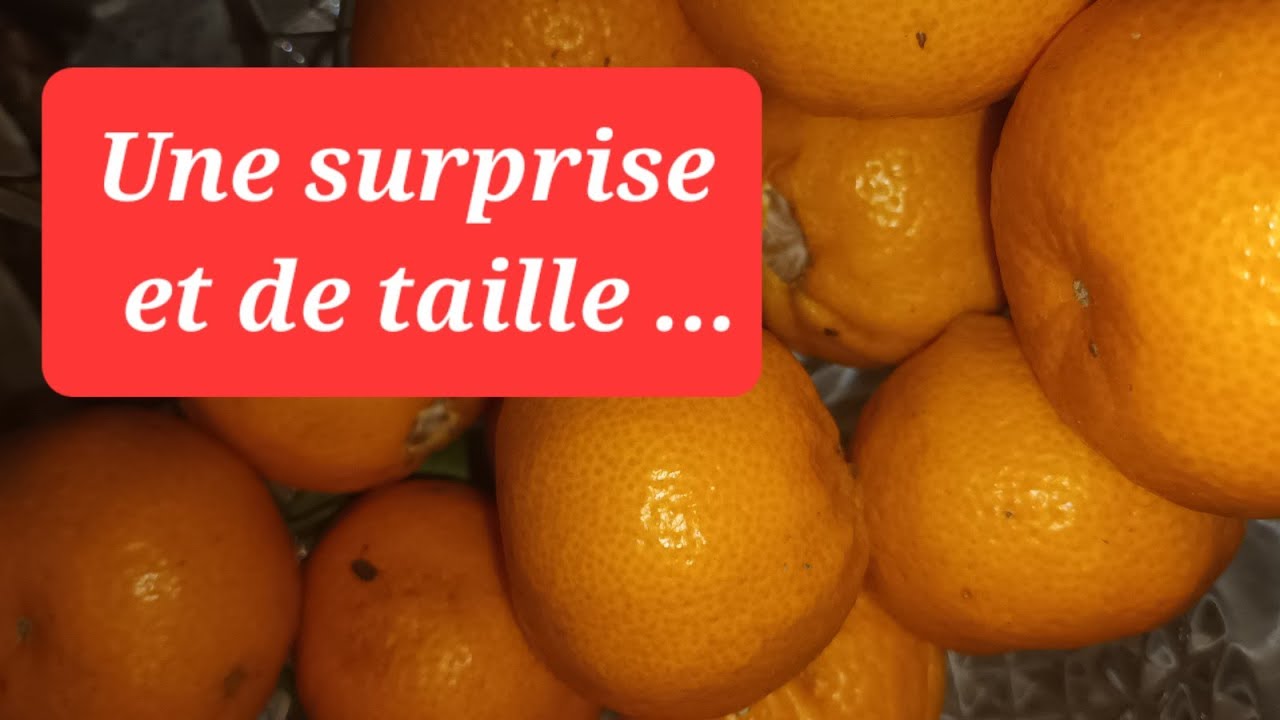 Une surprise et de taille...