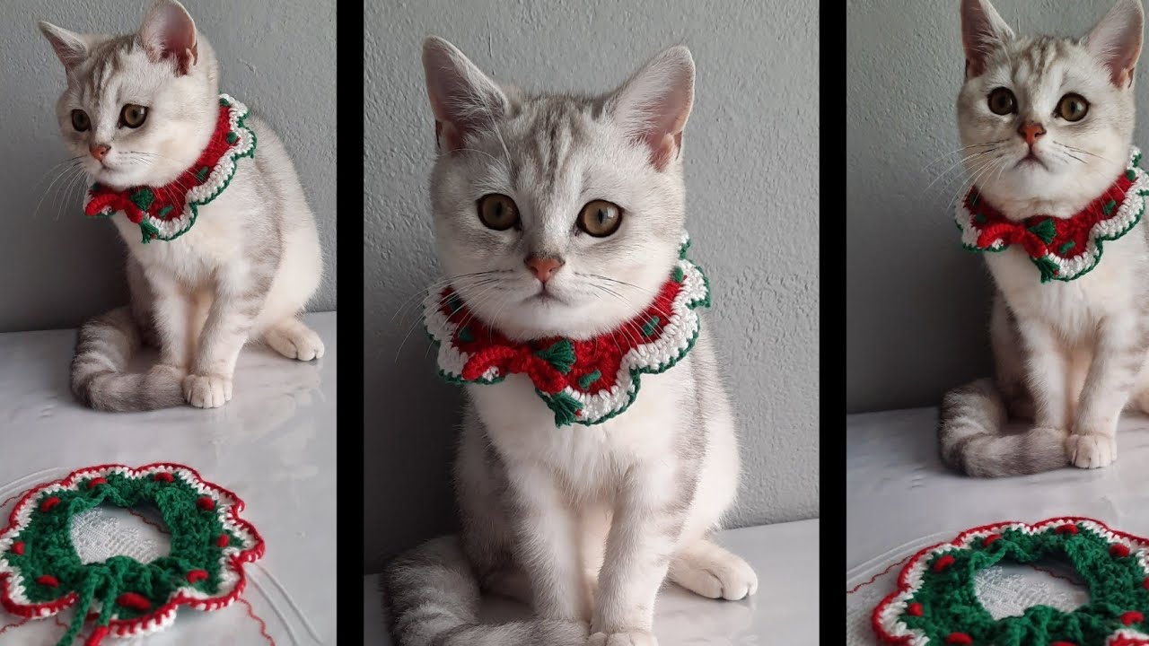 BAYILACAKSINIZ HAZIRLIKLARA DEVAM YENİ YIL KEDİ TASMASI #yeniyıl #keditasması
