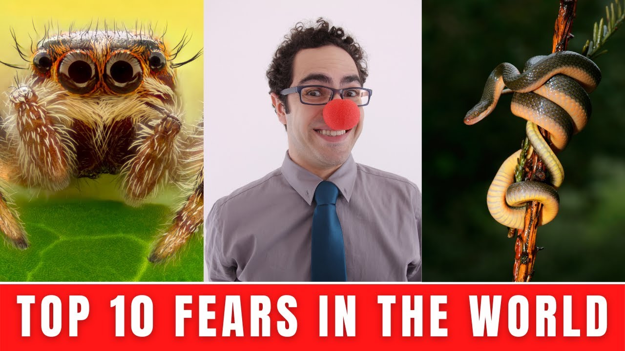 Top 10 Fears and Phobias In The World - 10 fears and phobias