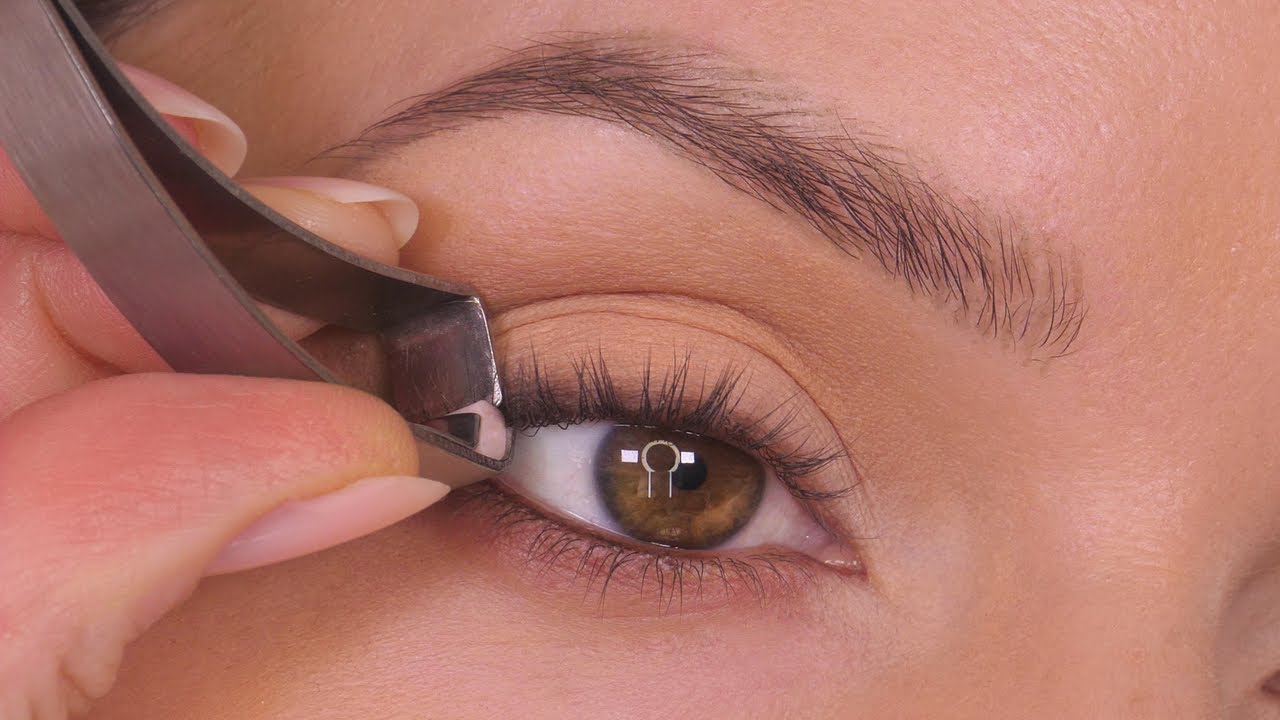 The BEST Eyelash Curler EVER!! | Shonagh Scott