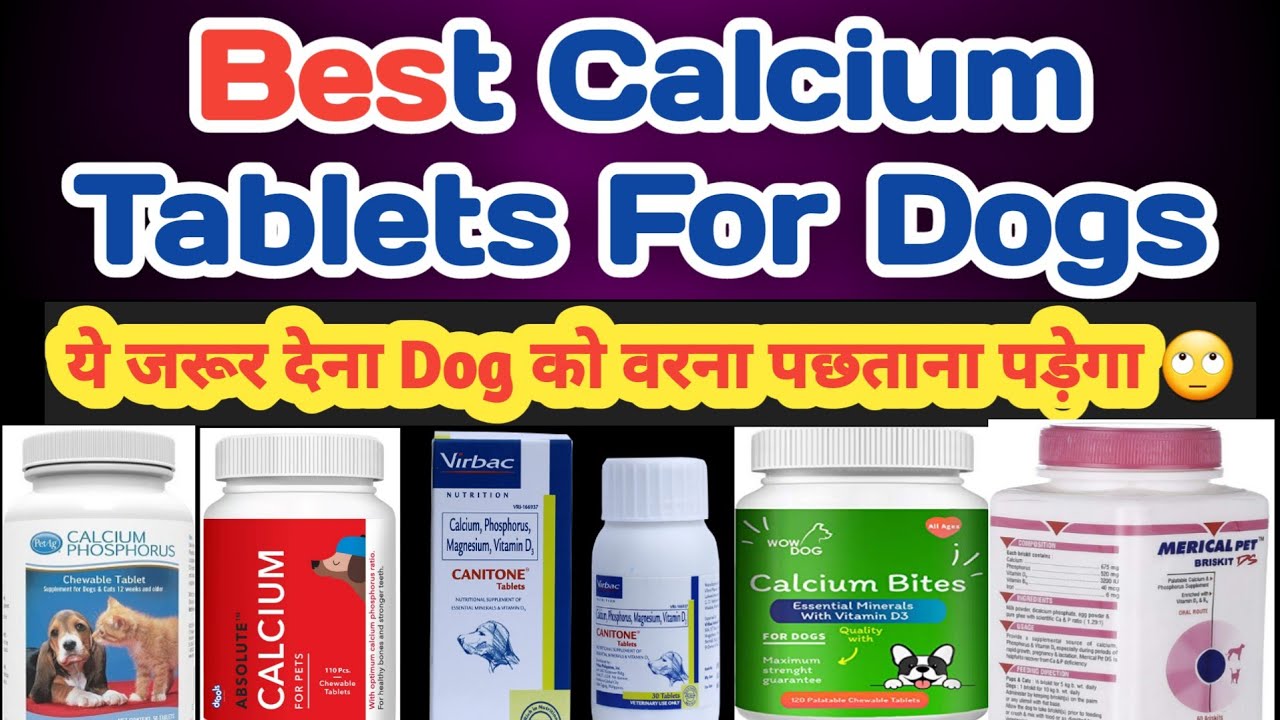Best Calcium Tablets For Dogs || Calcium Supplements For Dogs || Calcium Supplements For Dogs || S.M