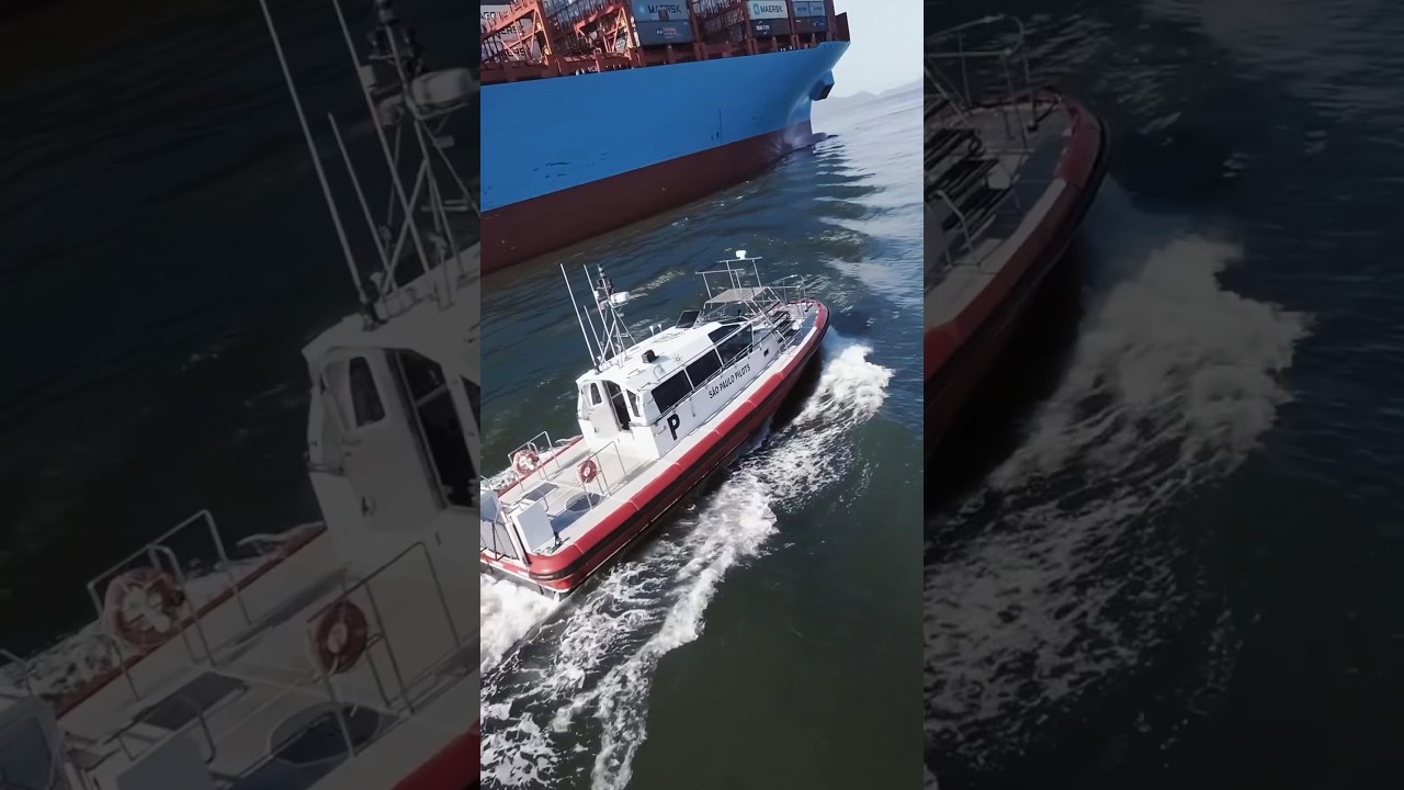 A different view of #lifeatsea as San Lorenzo #Maersk sails by Santos, Brazil🇧🇷 📸 @antonio7.fpv