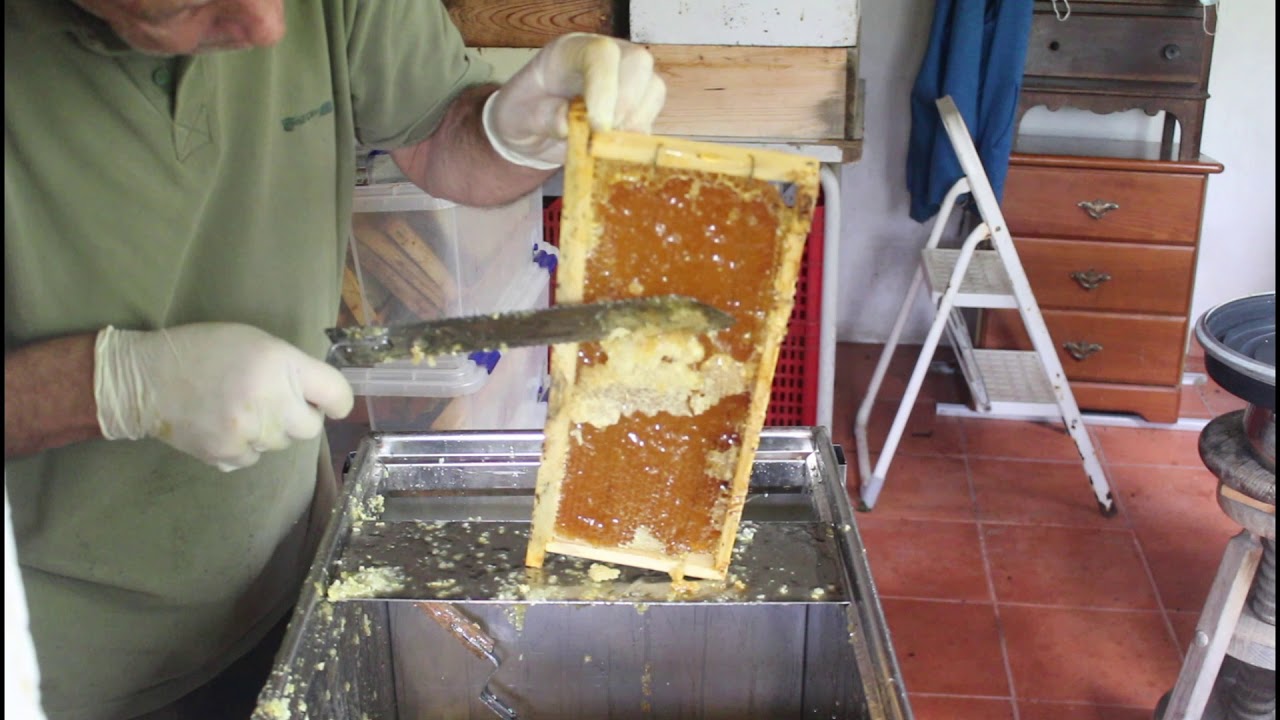 Cresta do mel - 2020