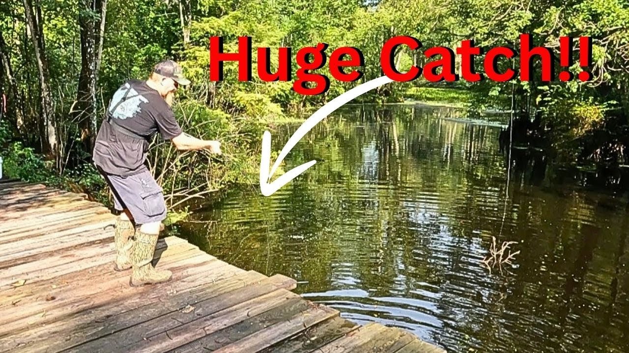 Eating Whatever I Catch from an Old Bridge Deep in the Swamp (Catfish Catch Clean Cook)