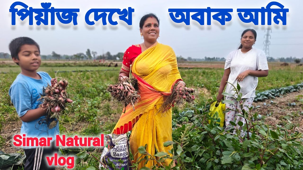 আমাদের মাঠ বাগানে কতটা পেঁয়াজ হলো  ?