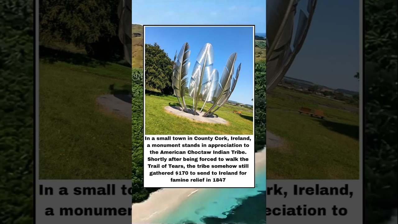 This Is From County Cork Ireland #trending #shorts #viral #viralshort #trend