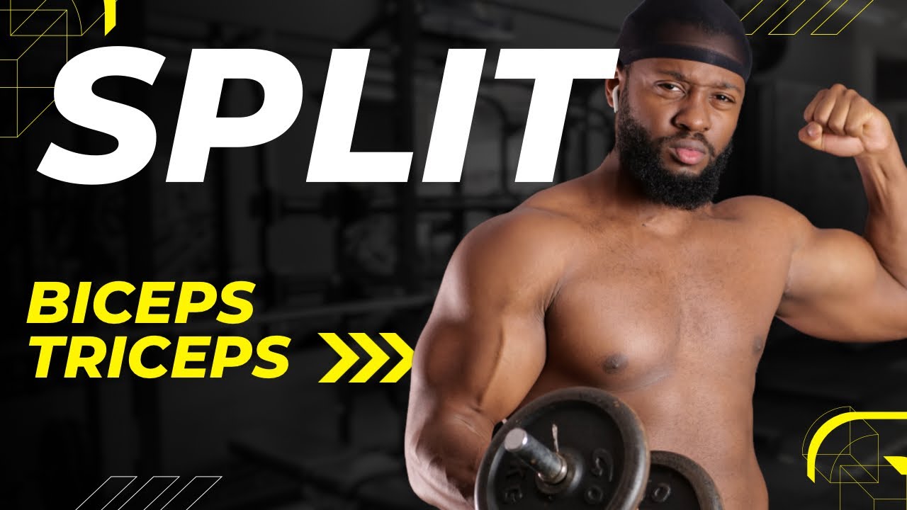 PROGRAMME BICEPS TRICEPS ( split)
