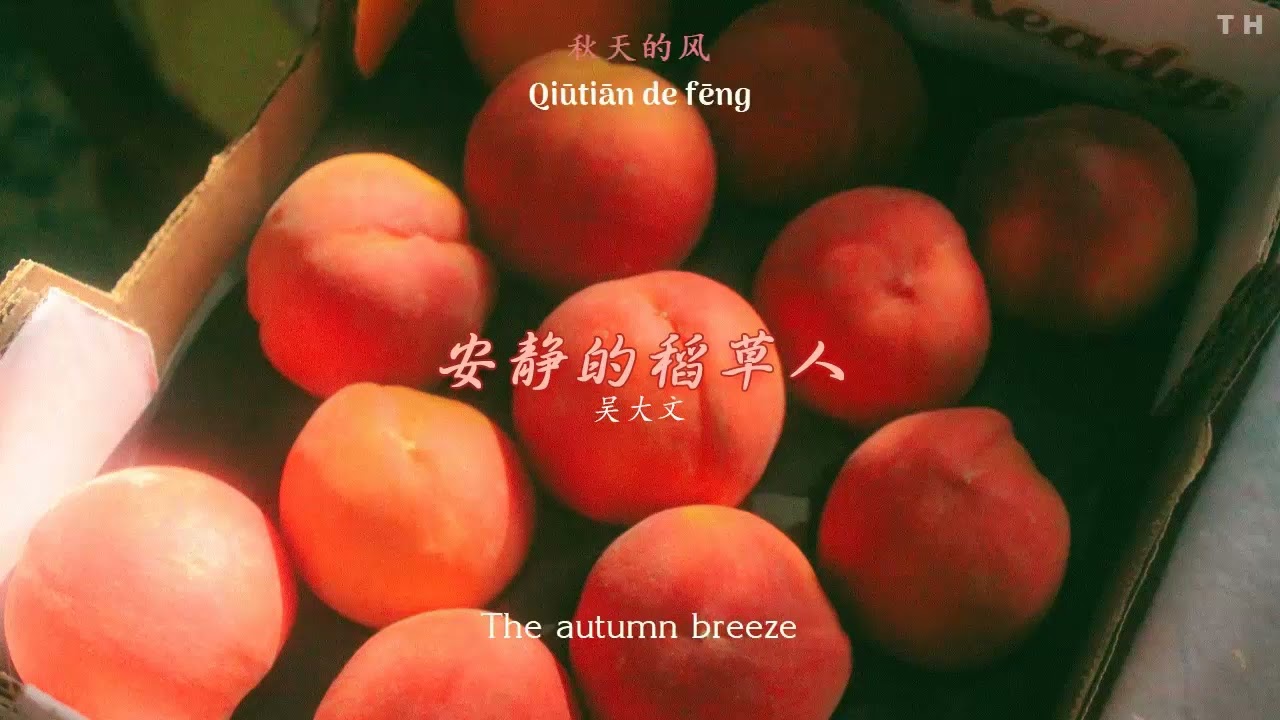 [ENGSUB/PINYIN] 安静的稻草人 (An Jing De Dao Cao Ren - The quiet scarecrow) - 吴大文 (Wu Da Wen)