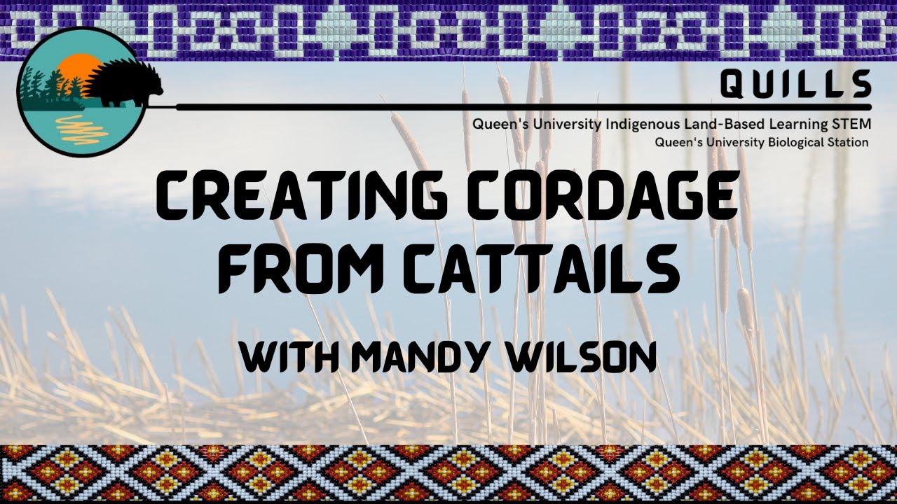 Creating Cordage from Cattails with Mandy Wilson