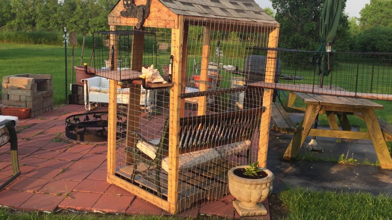 Catio Building a Catio