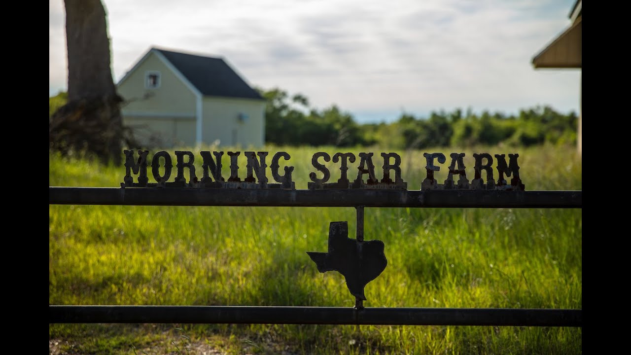 Morning Star Farm | 1425 Acres | Robertson County Texas Ranch for Sale