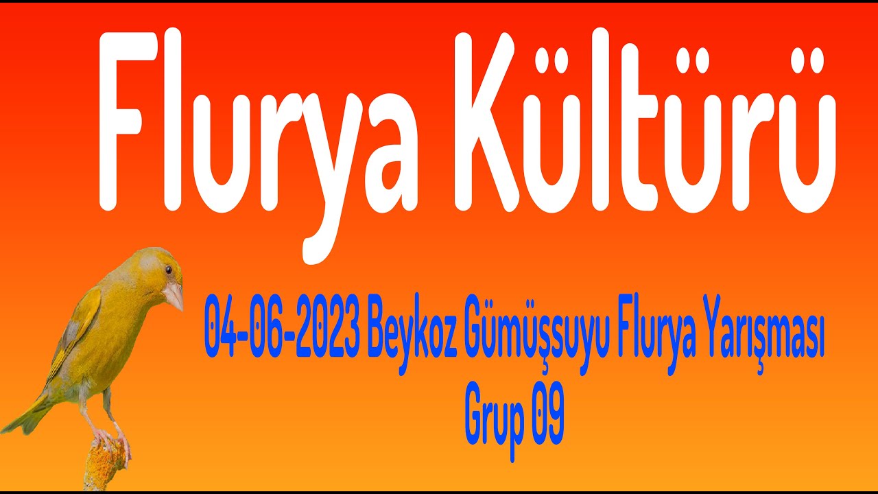 Flurya Kültürü 226 - Beykoz 04-06-2023 Gümüşsuyu Yarışması Grup 09