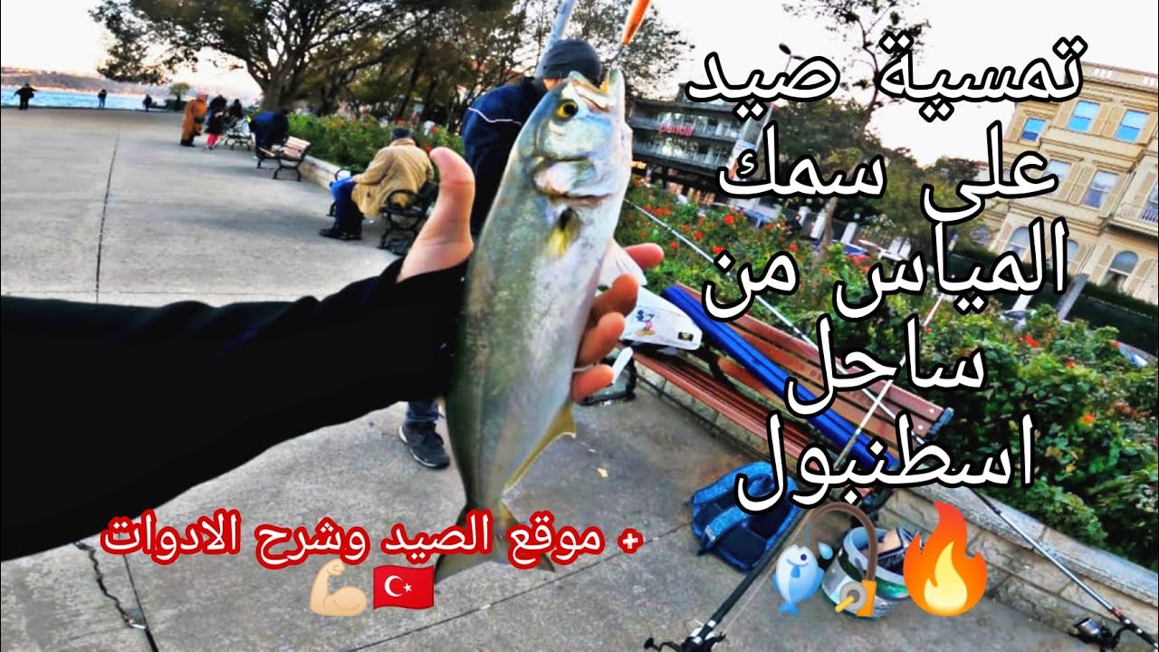 نزلنا على سمك المياس في سواحل إسطنبول الجميلة شوف الخير والرزق 🇹🇷🎣 شرح الادوات والمكان+