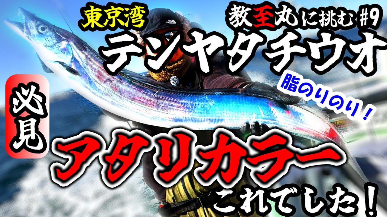 アレいれて…コッチいれて…結局どのカラーが当たる？【東京湾テンヤタチウオ】