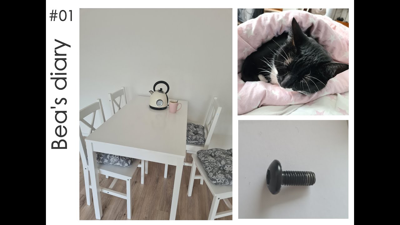 Bea's Diary #01 - Neue Wohnung -neues Glück ♥ Ich erzähle und zeige dir, was grad bei mir so los ist