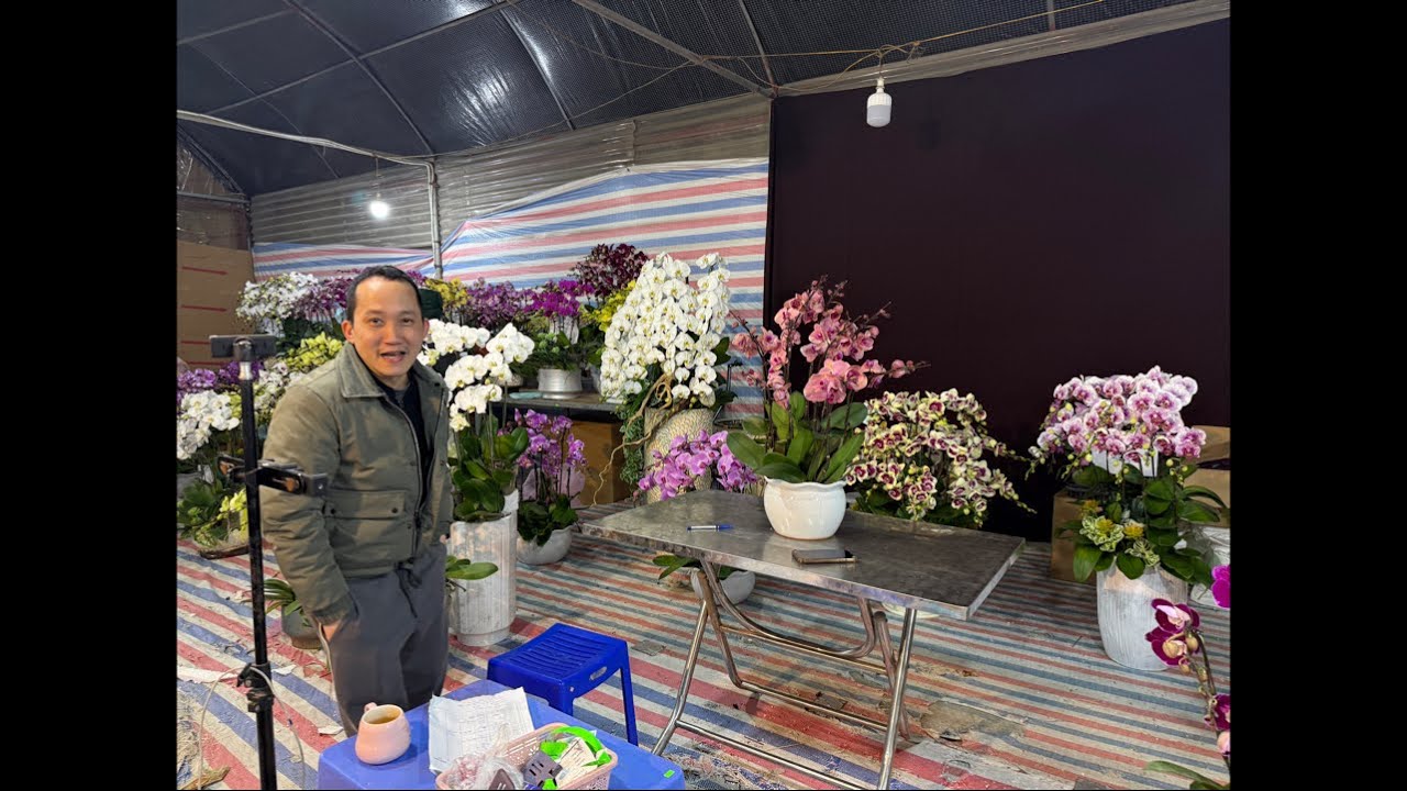9/2 MUA HÀNG NÀO CÁC CỤ