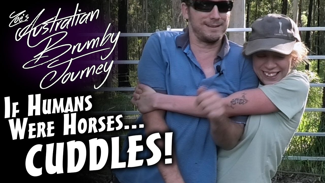 Australian Brumby Training 🐴 If Humans Were Horses - Cuddles!