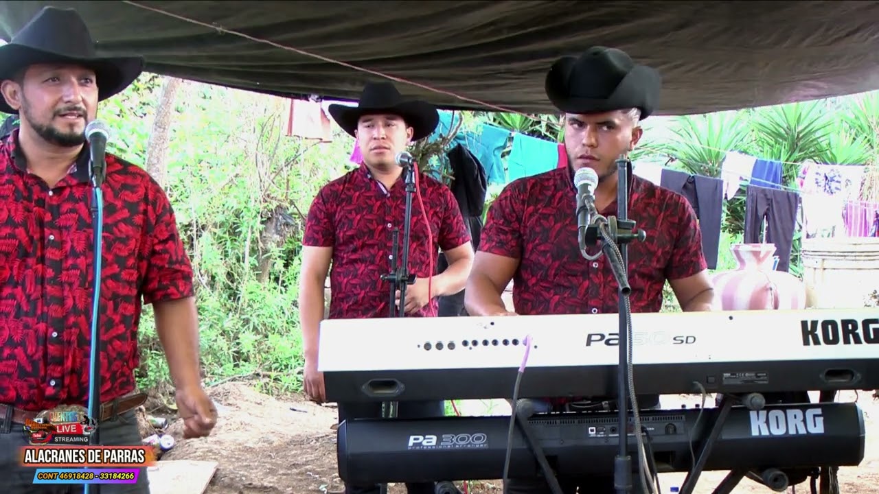 ALACRANES DE PARRAS EN VIVO DESDE BUENA VÍSTA JALAPA TEMAS NORTEÑOS PARTE 4
