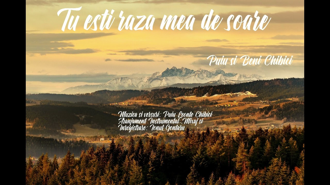 Album (27) Puiu si Beni Chibici - Tu esti raza mea de soare