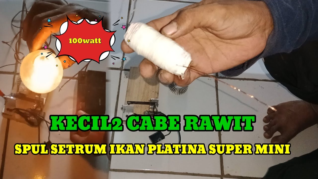 Simpel dan mudah Spul mini Setrum ikan platina tipe primer