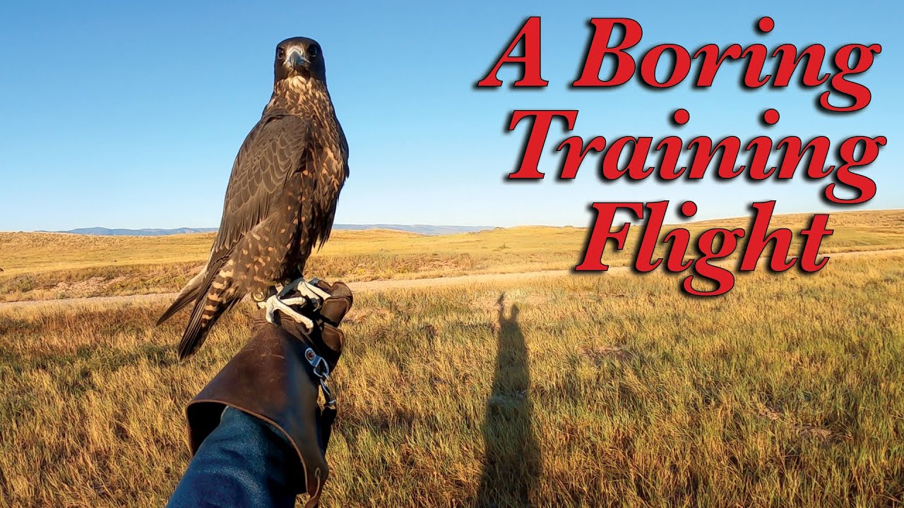 A Boring Training Flight (September 14, 2025)