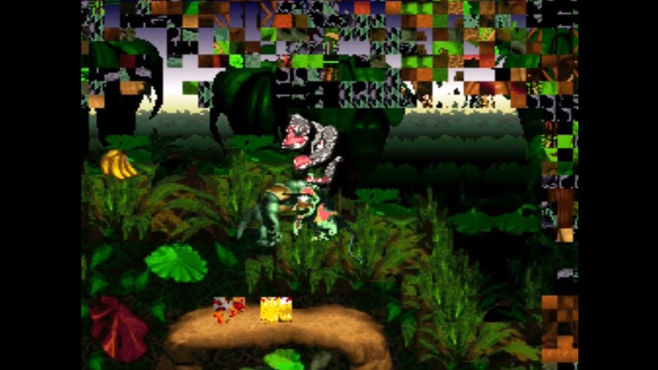 Donkey Kong Country: Game Breaking Glitch