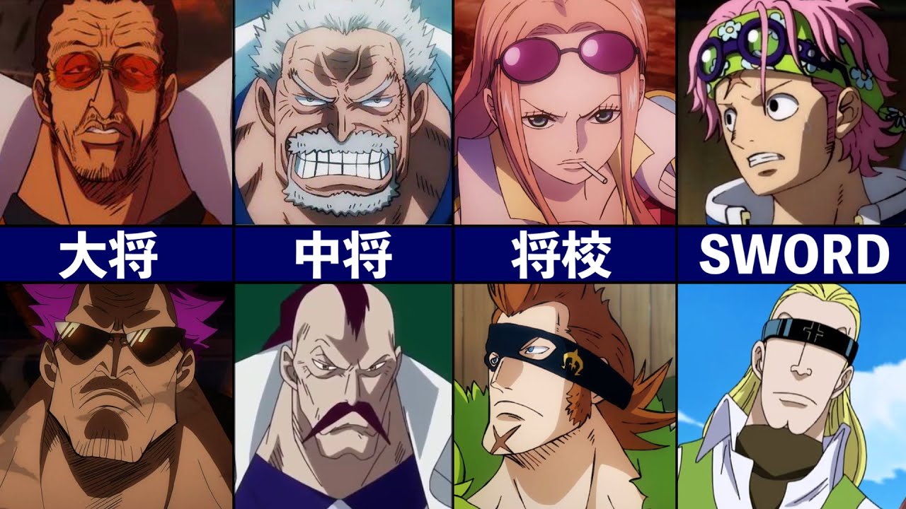【ONEPIECE】階級別の全海軍キャラまとめ