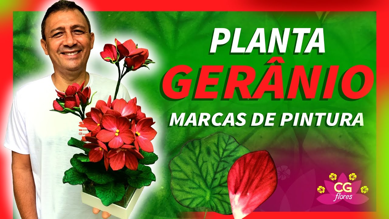 PLANTA GERÂNIO | COM AS MARCAS DA NATUREZA
