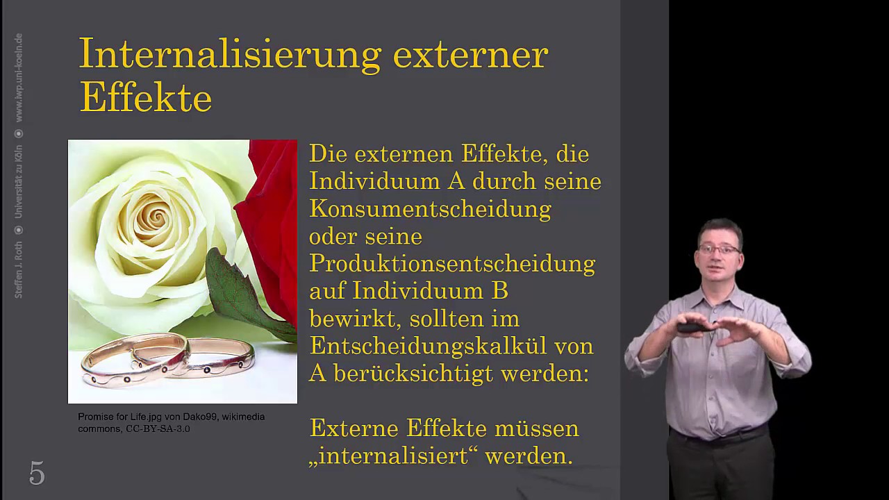 Externe Effekte