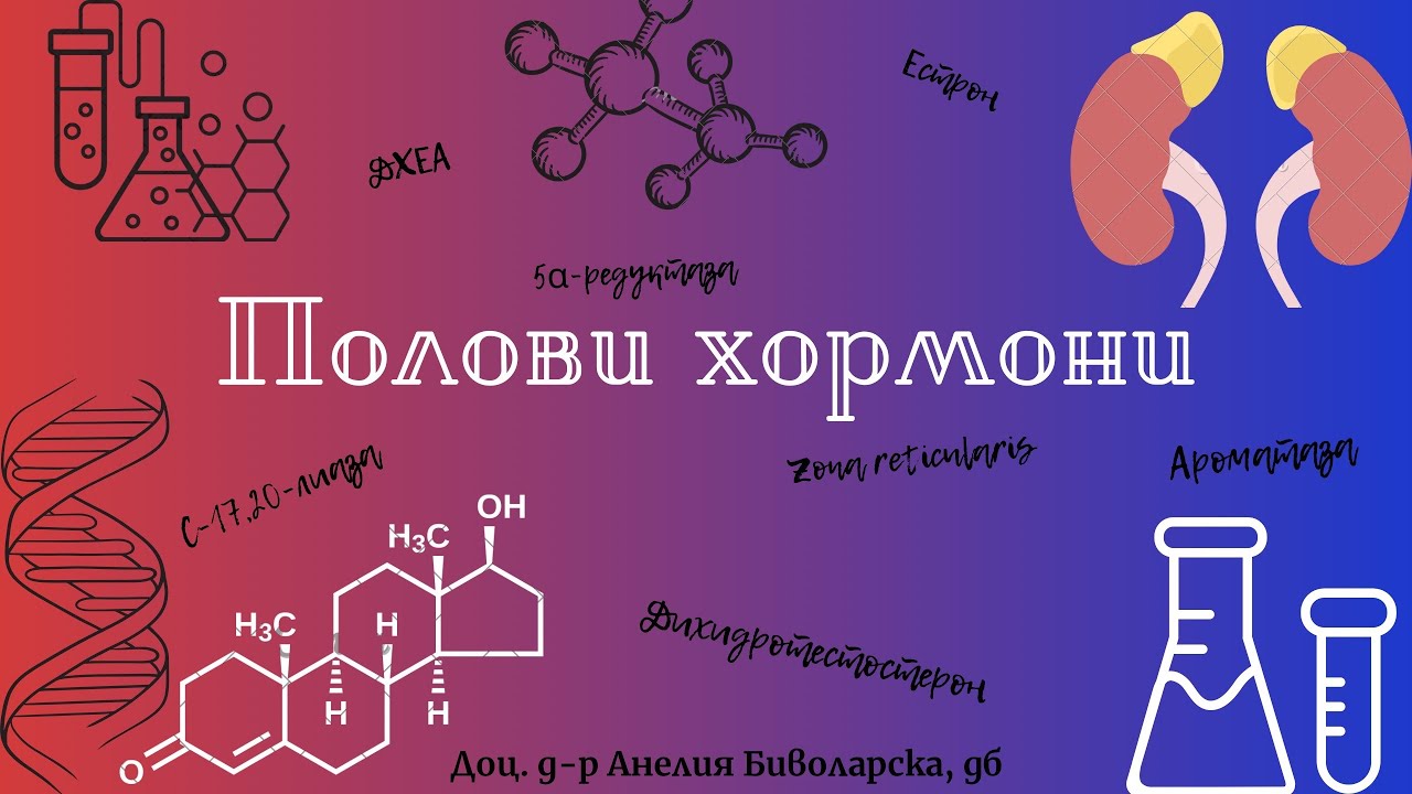 Полови хормони/Gonadocorticoids