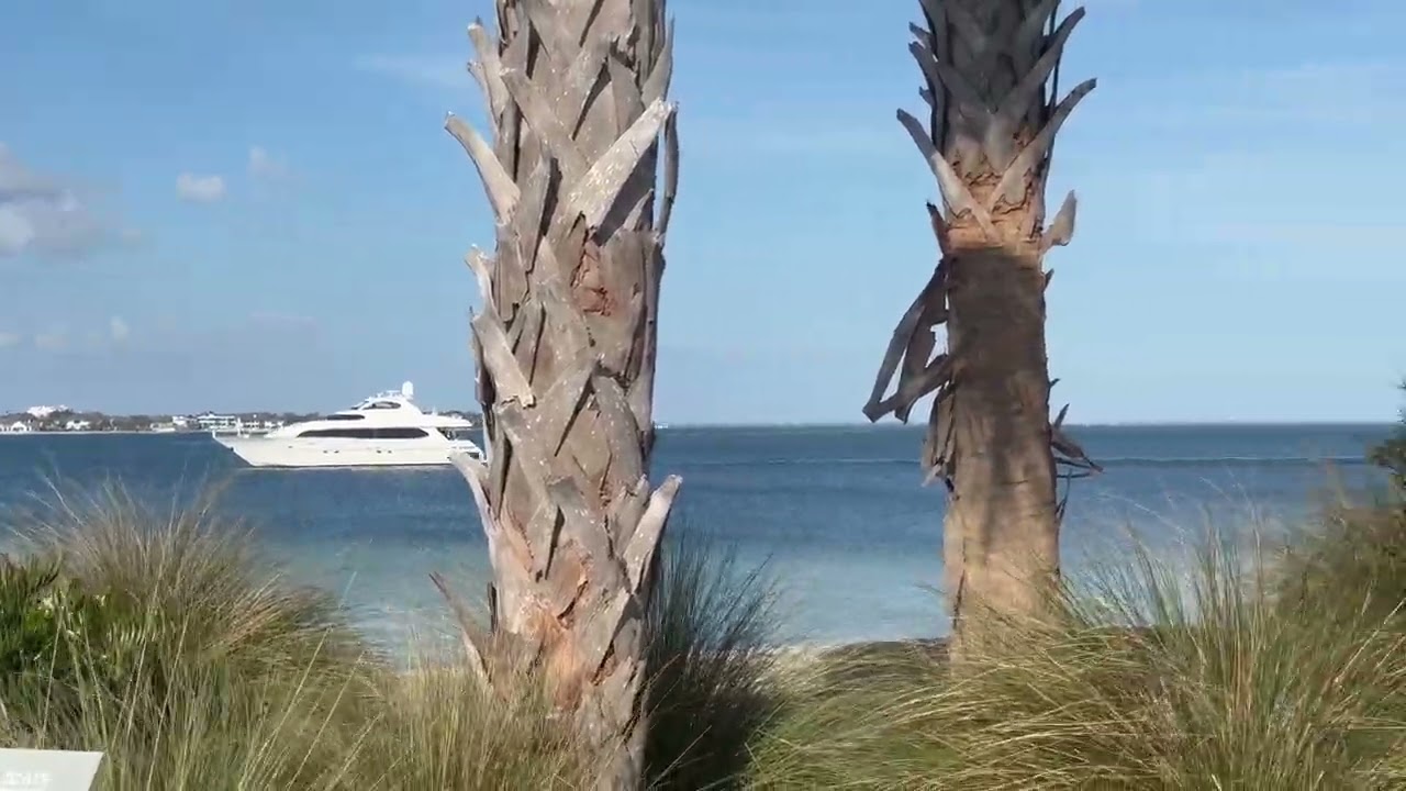 St. Petersburg Pier
