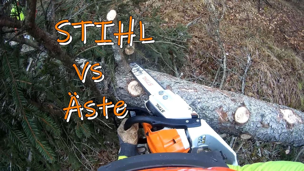 Gehört auch dazu... oder weg: Äste, Äste, Äste, Äste... #STIHL #ÄSTE