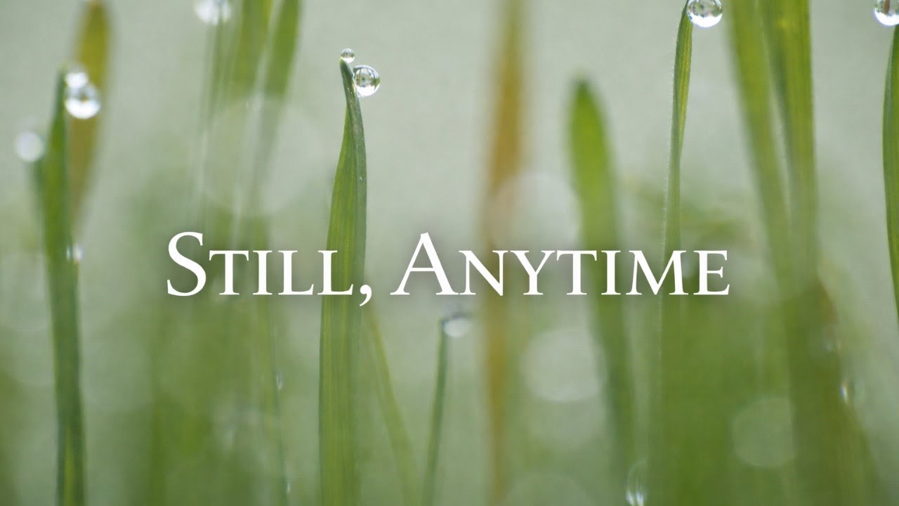 Still, Anytime — Quiet Background Music for Work, Rest & Gentle Moments
