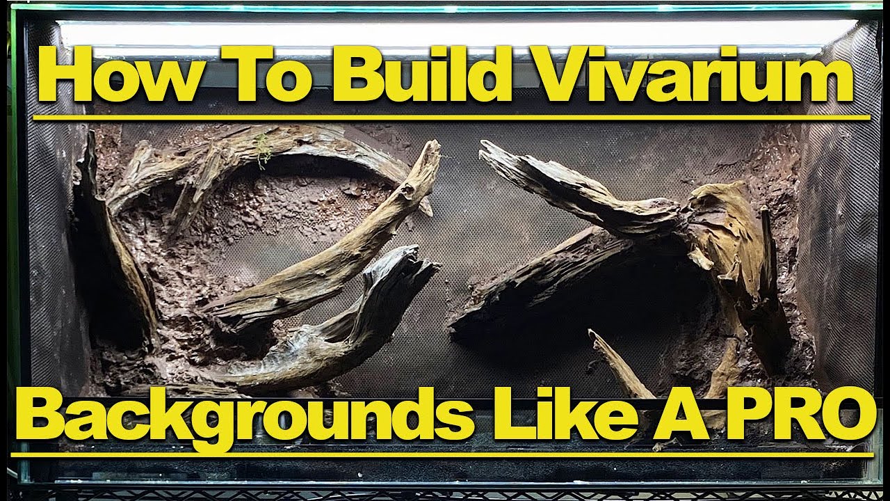 How to Build A Custom DIY Vivarium Background Like a PRO!