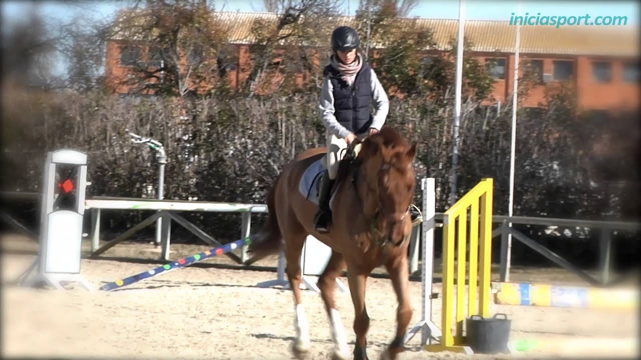 Equitación 6. El galope