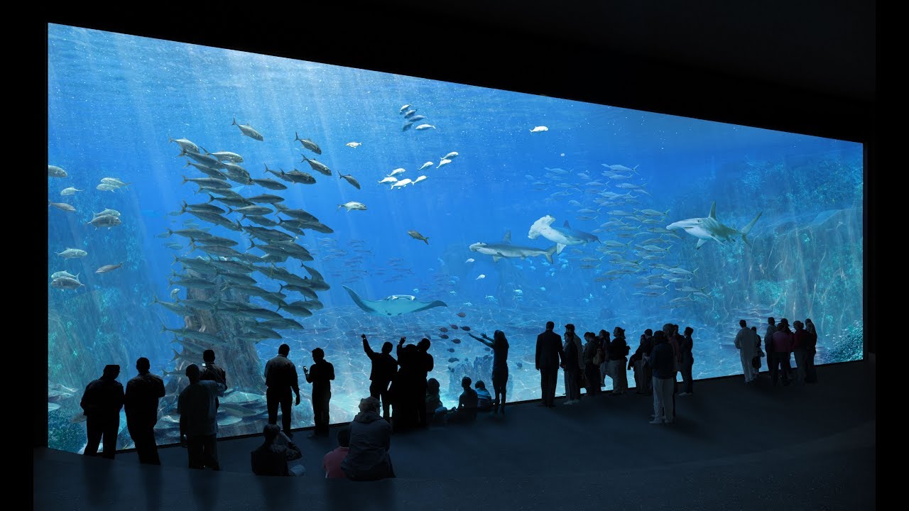 Nausicaa : un chantier d'envergure