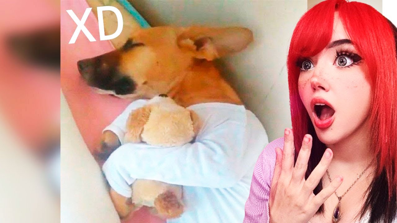 MOMENTOS XD 🤡| SI TE RIES PIERDES 152  || ITSMIDNA REACCIONA A JEREMEMES