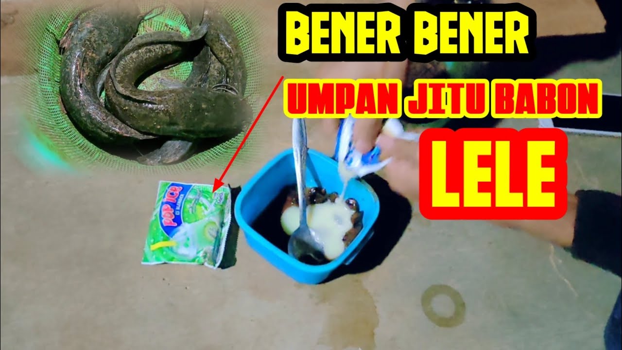Racikan Umpan Paling JITU Ikan Lele Babon ‼️Harian Ataupun Lomba