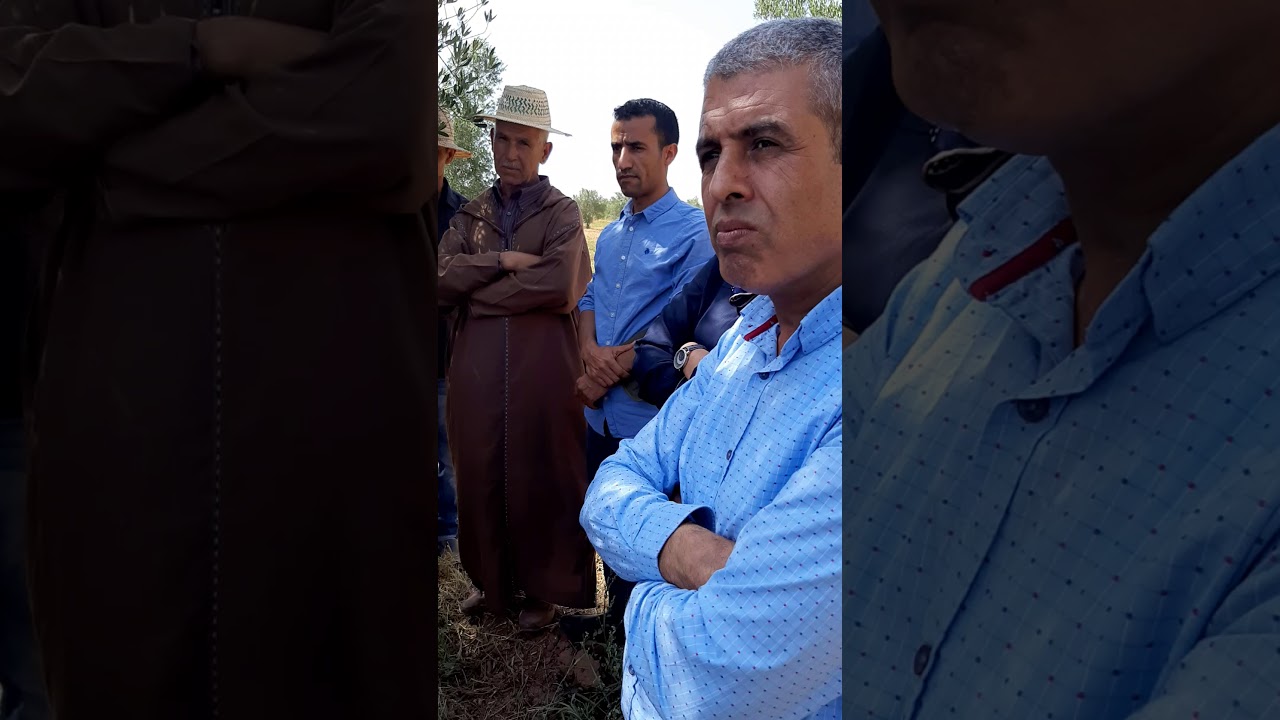 الجمعية المغربية لمنتجي الزيتون والاقتصاد في الماء